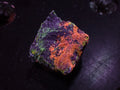War Paint Acan Echinata